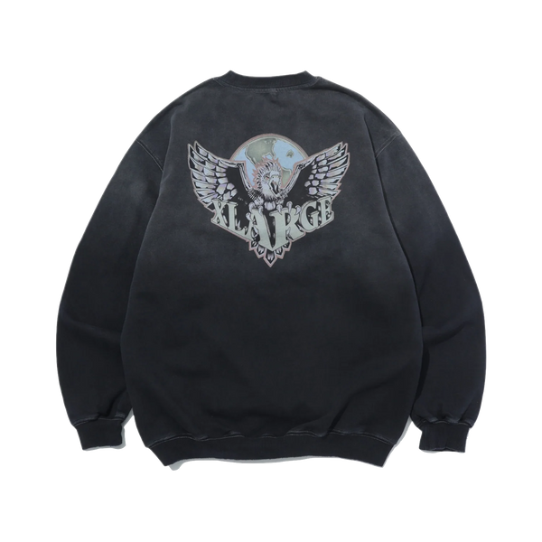 Eagle Wings To The World