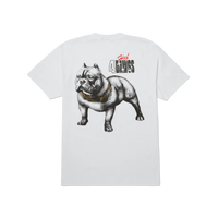 4 The Dawgs