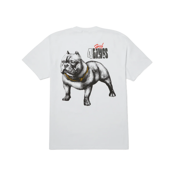 4 The Dawgs