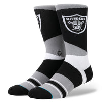 Raiders Logo